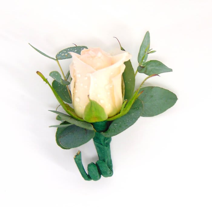 Blush Rose Boutonniere Flower Bouquet