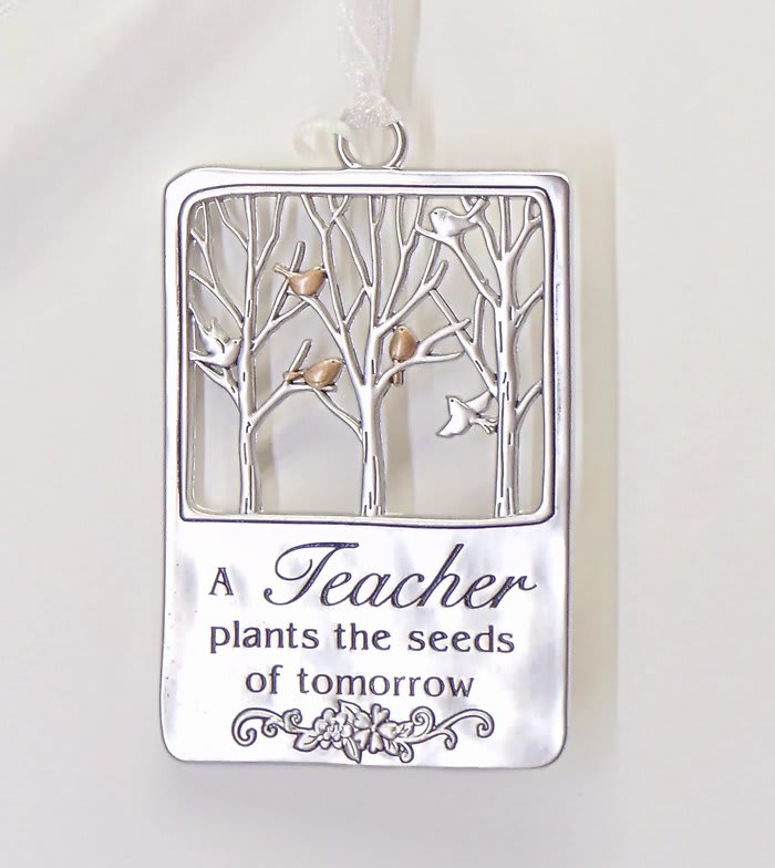 A teacher plants the seeds of tomorrow-Ornament