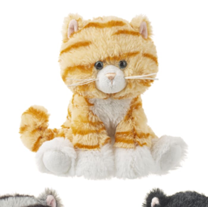 Kibbles Kitten Orange