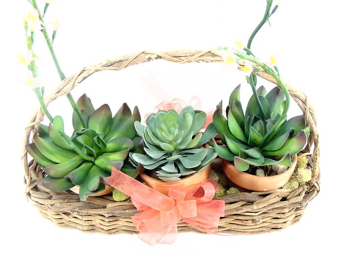 Faux succulent pots in garden basket.