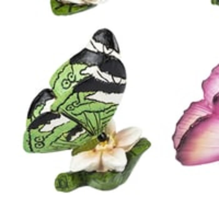 August Birthday Butterfly & Flower of the Month