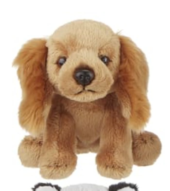 Cocker Spaniel Mini Dog