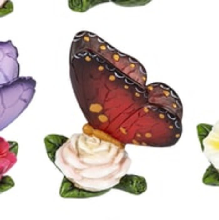 July Butterfly of the Month