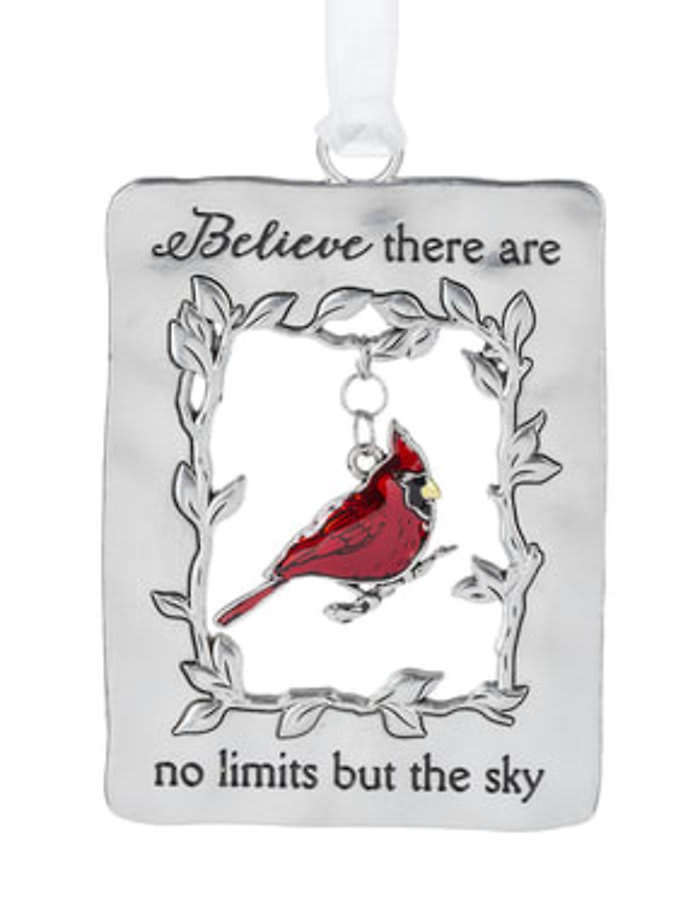 Believe There Are No Limits but the Sky