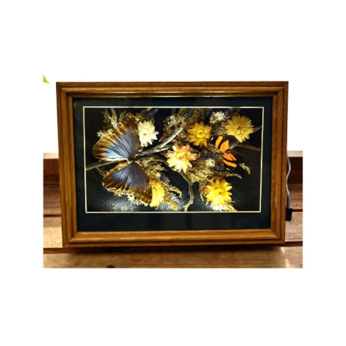 Nature Lights Butterflies & Flowers in Blue & Orange