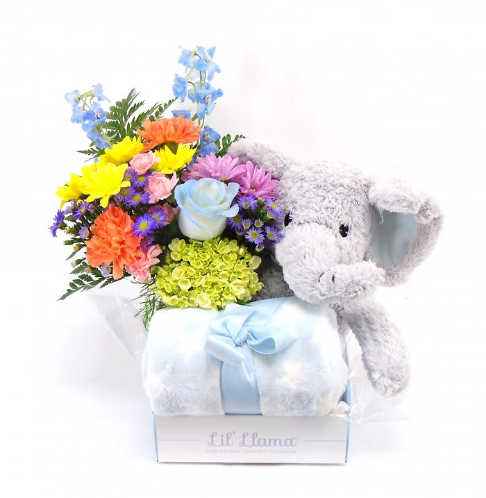 Lil Elephant Gift Set Flower Bouquet
