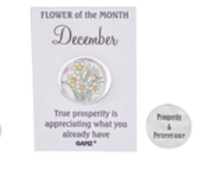 December Flower of the Month