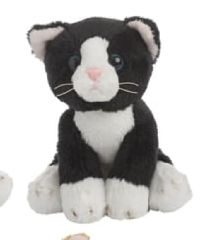 Black/White Mini Cat