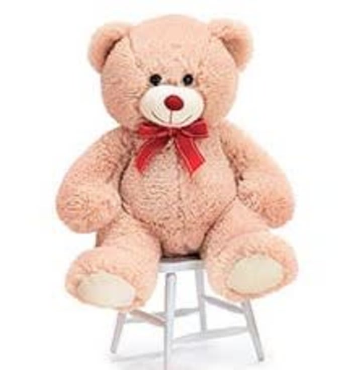 Biege Teddy Bear with Red Bow. Flower Bouquet