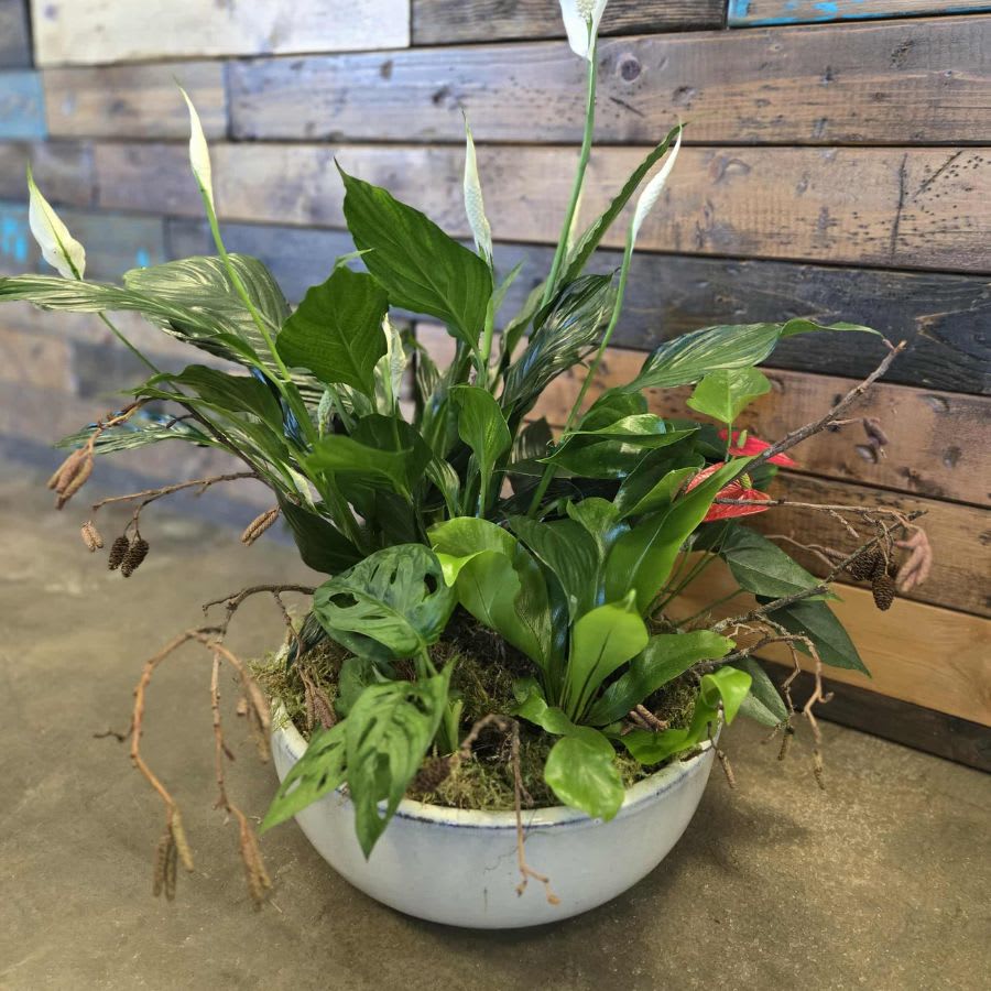 Jungle Planter