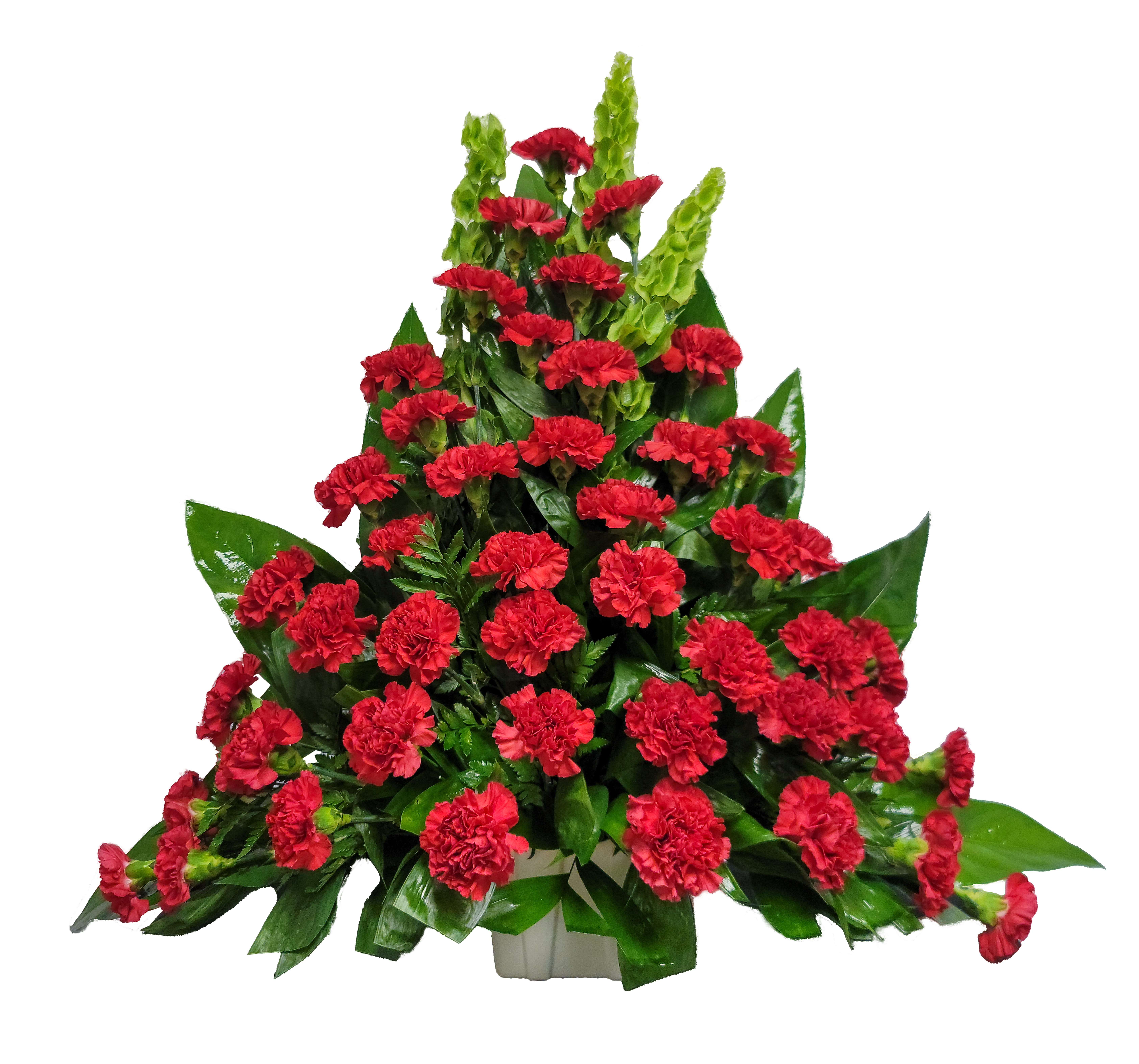 CF-2 Canasta funeral de claveles