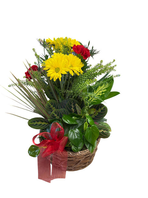 Medium Dish Garden with Flowers