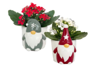 Holiday Gnome Planter Flower Bouquet