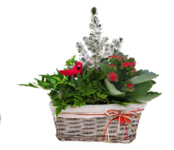 Holiday Farmhouse Planter Flower Bouquet
