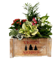 Rockefeller Holiday Planter Flower Bouquet