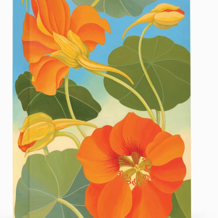Siri Schillios: Nasturtium Boxed Thank You Notes Flower Bouquet