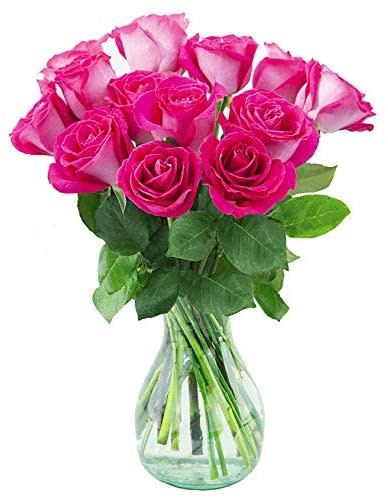 Roses by the Dozen – Hot Pink Flower Bouquet