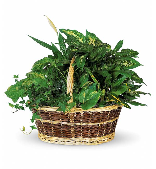 Bountiful Garden Basket Flower Bouquet