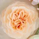 Bathing Petal Soap Flower Flower Bouquet