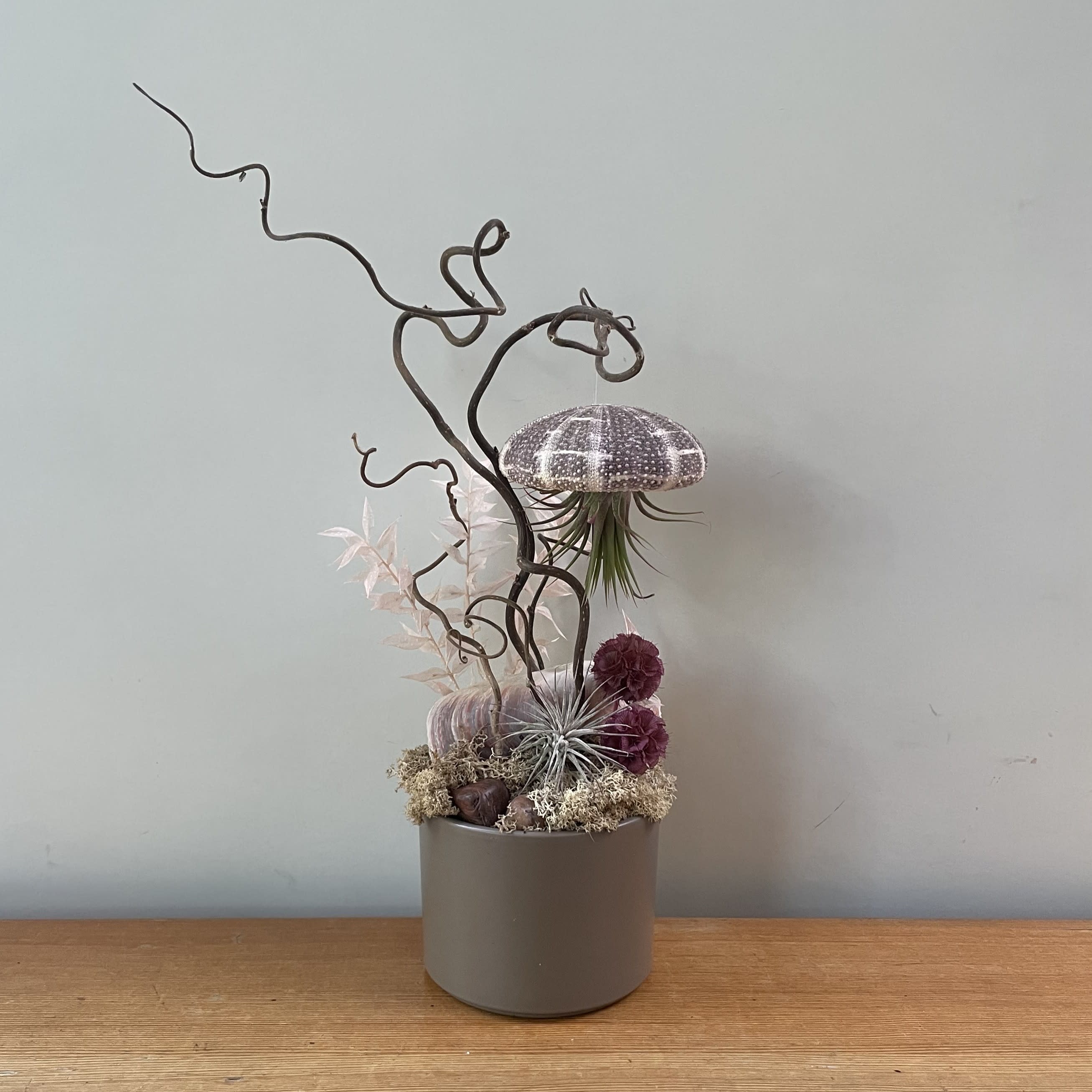 Sea Dream airplant