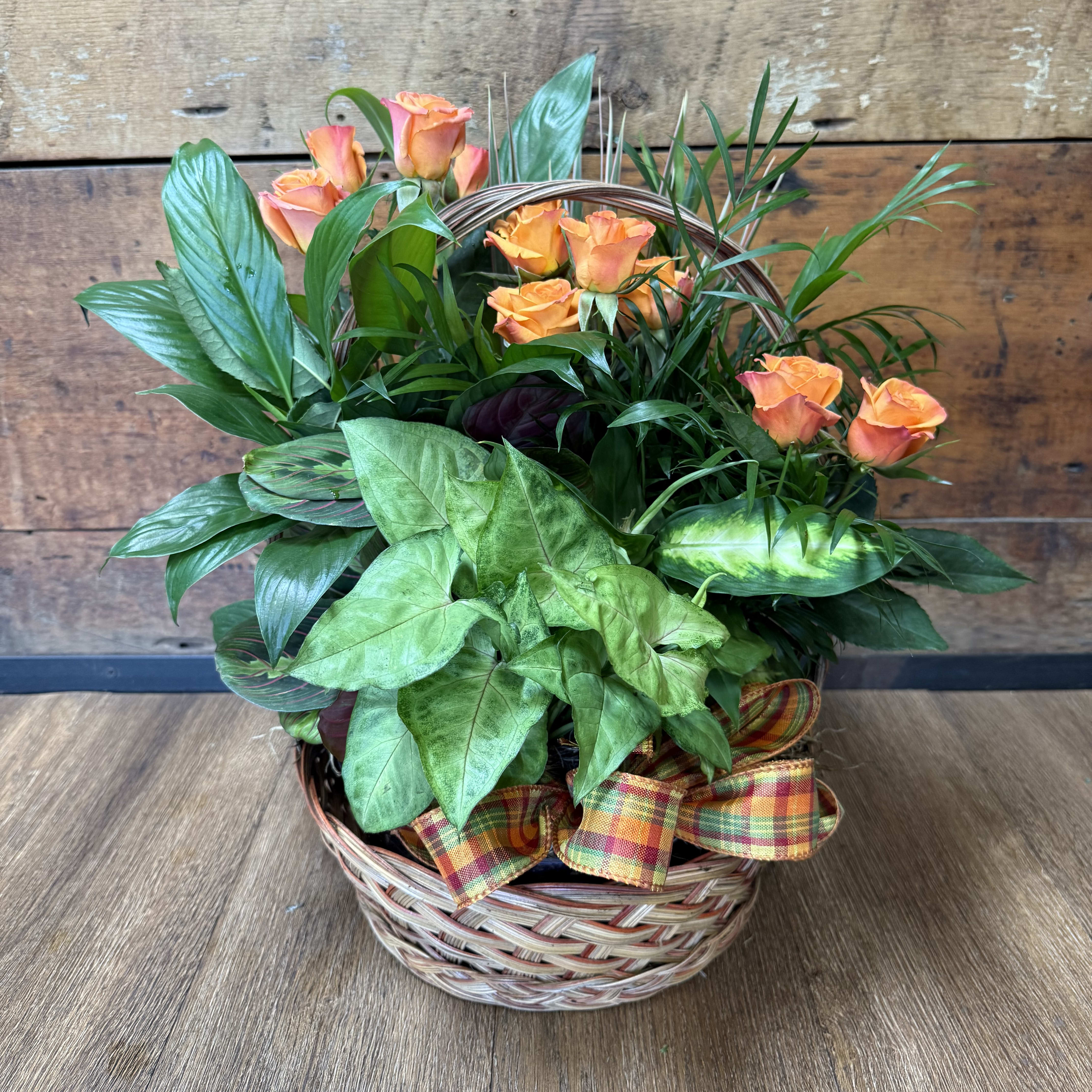 10' Full of Love Dish Garden