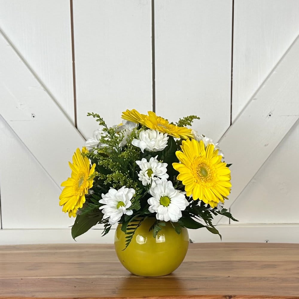 Spot of Sunshine - NEW