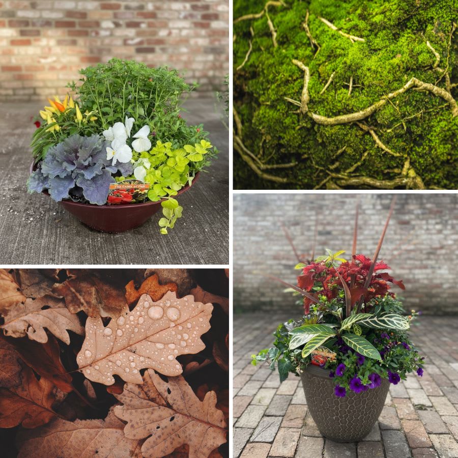 Assorted Autumn Planter - Autumn Flowers Flower Bouquet