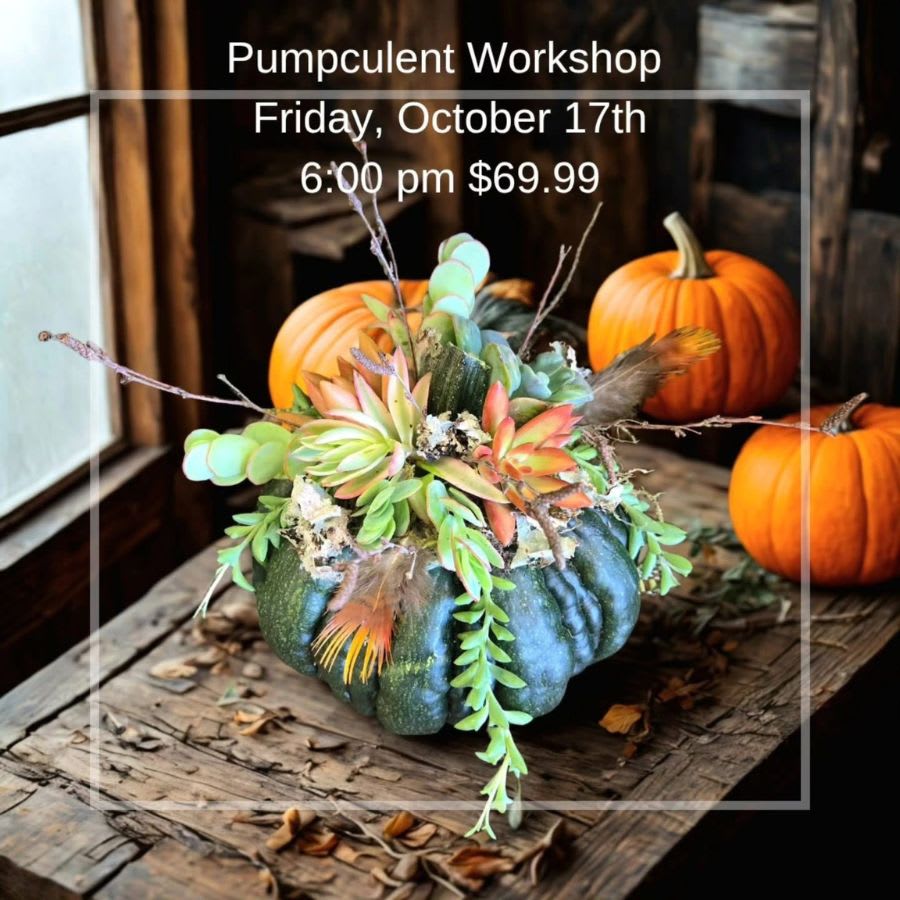 Autumn "Pumpcculent" Workshop