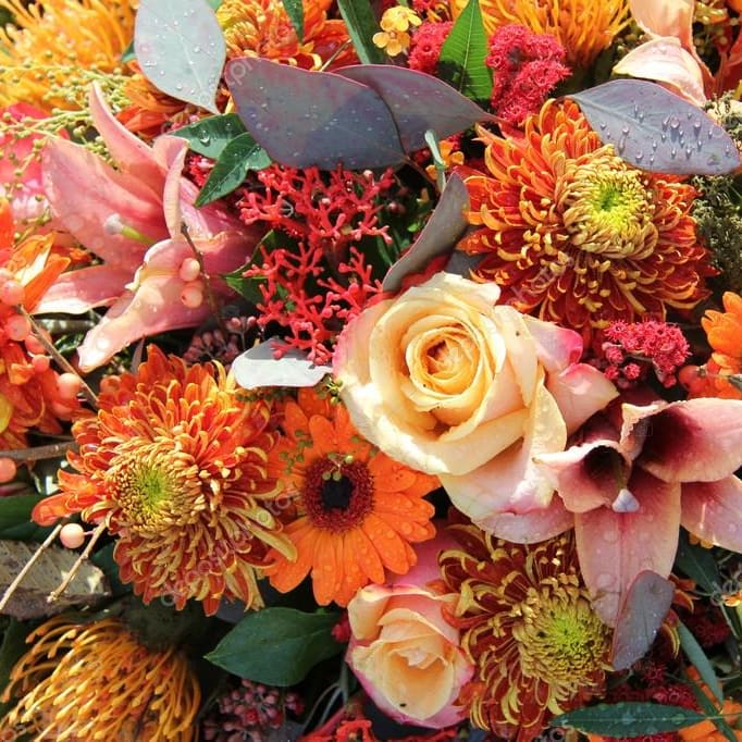 Fall Designers Choice