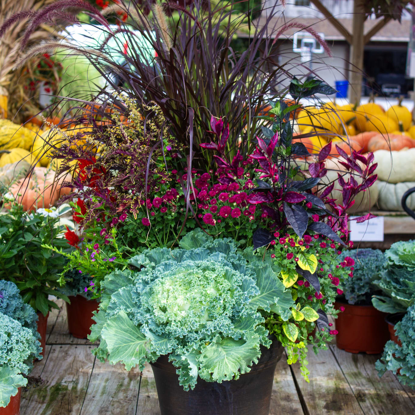 Fall Patio Planter