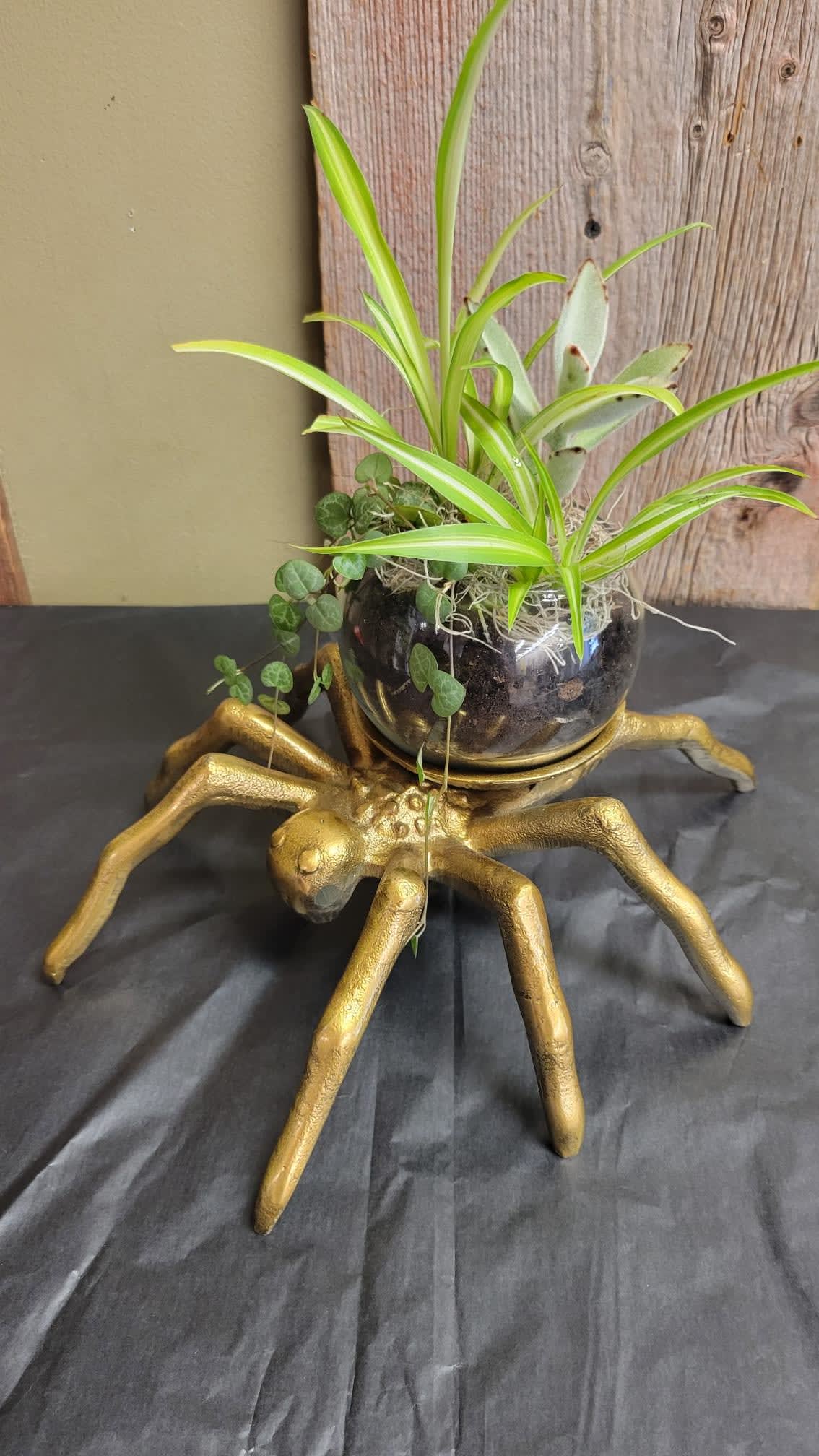 Arachnid Terrarium Flower Bouquet