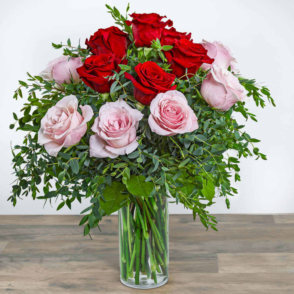 One Dozen Perfect Pink and Red Roses