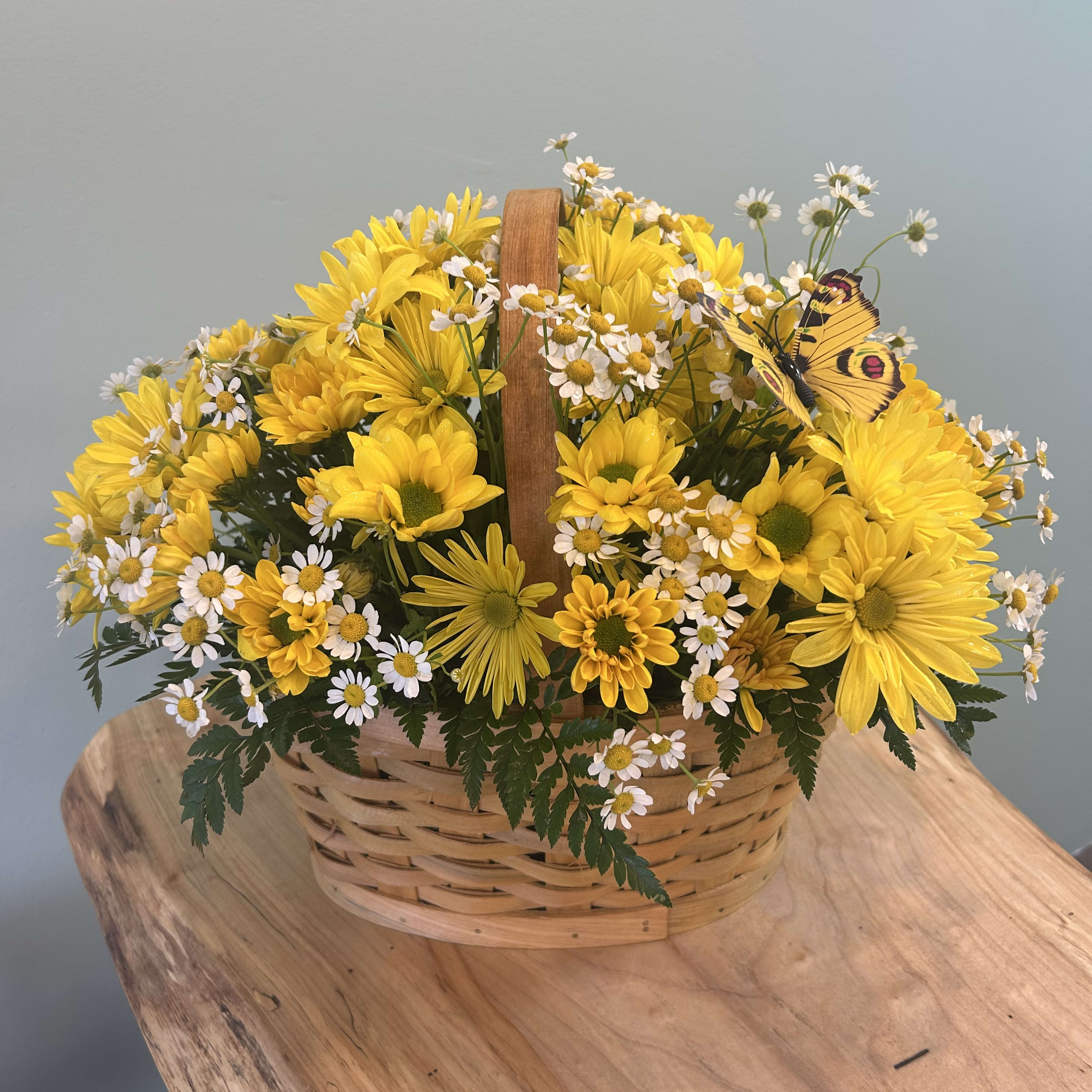 Daisy Basket