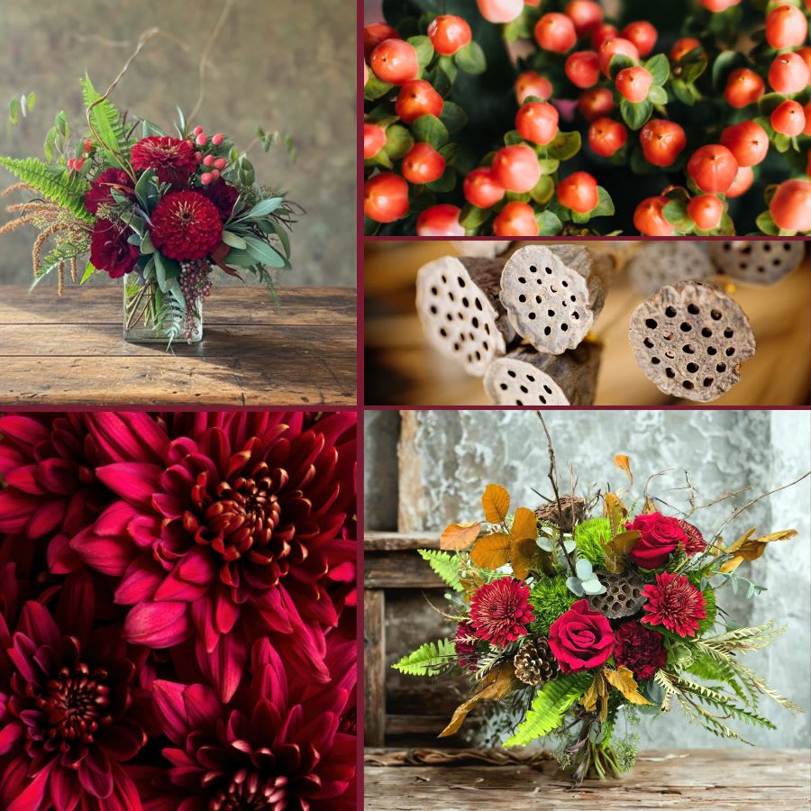 Mulled Wine - Designer's Choice