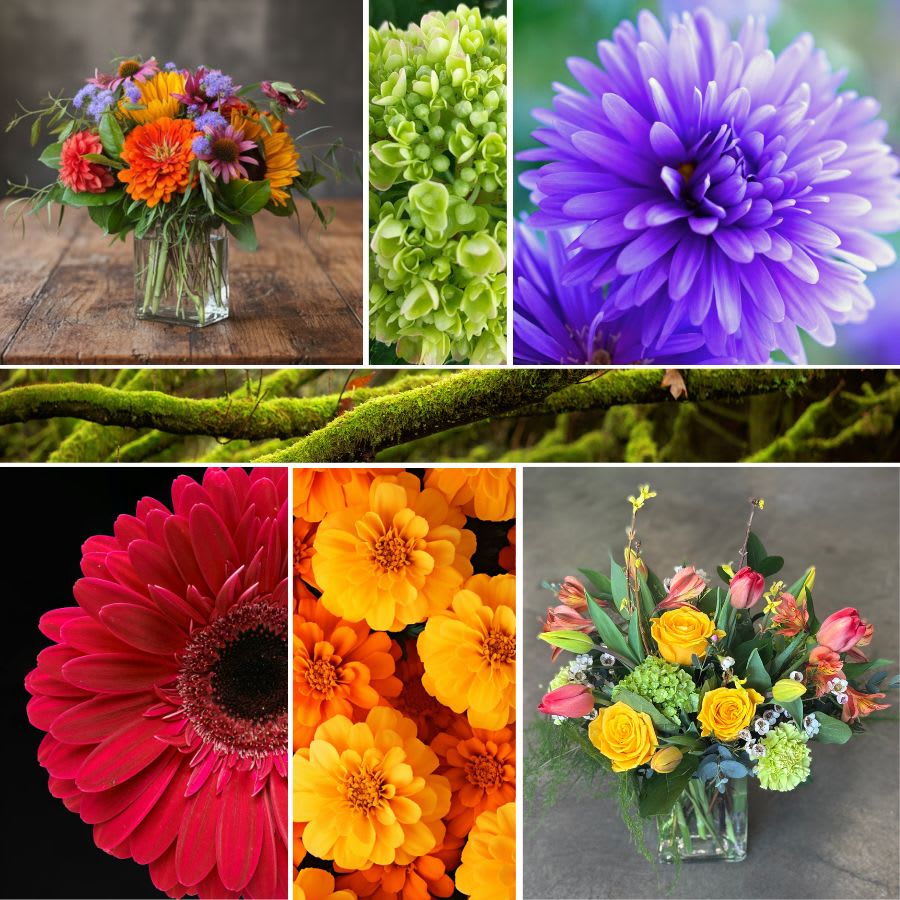 Seasonal "Designer's Choice" - Garden Cube