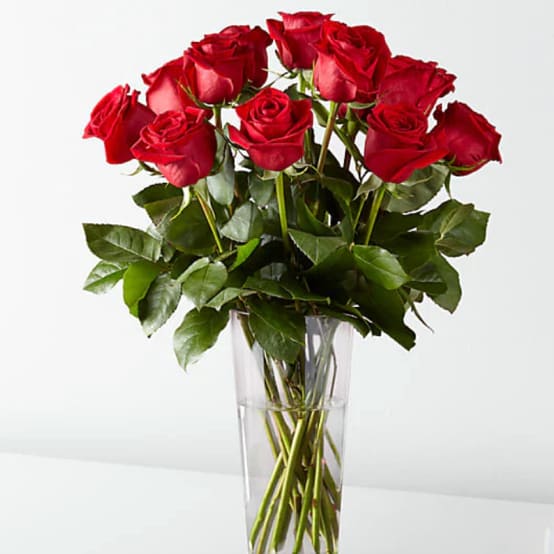 Dozen Red Roses