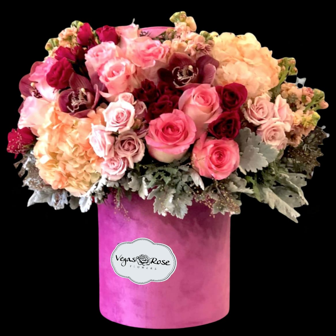 ELEGANT IN ANY VELOUR BOX