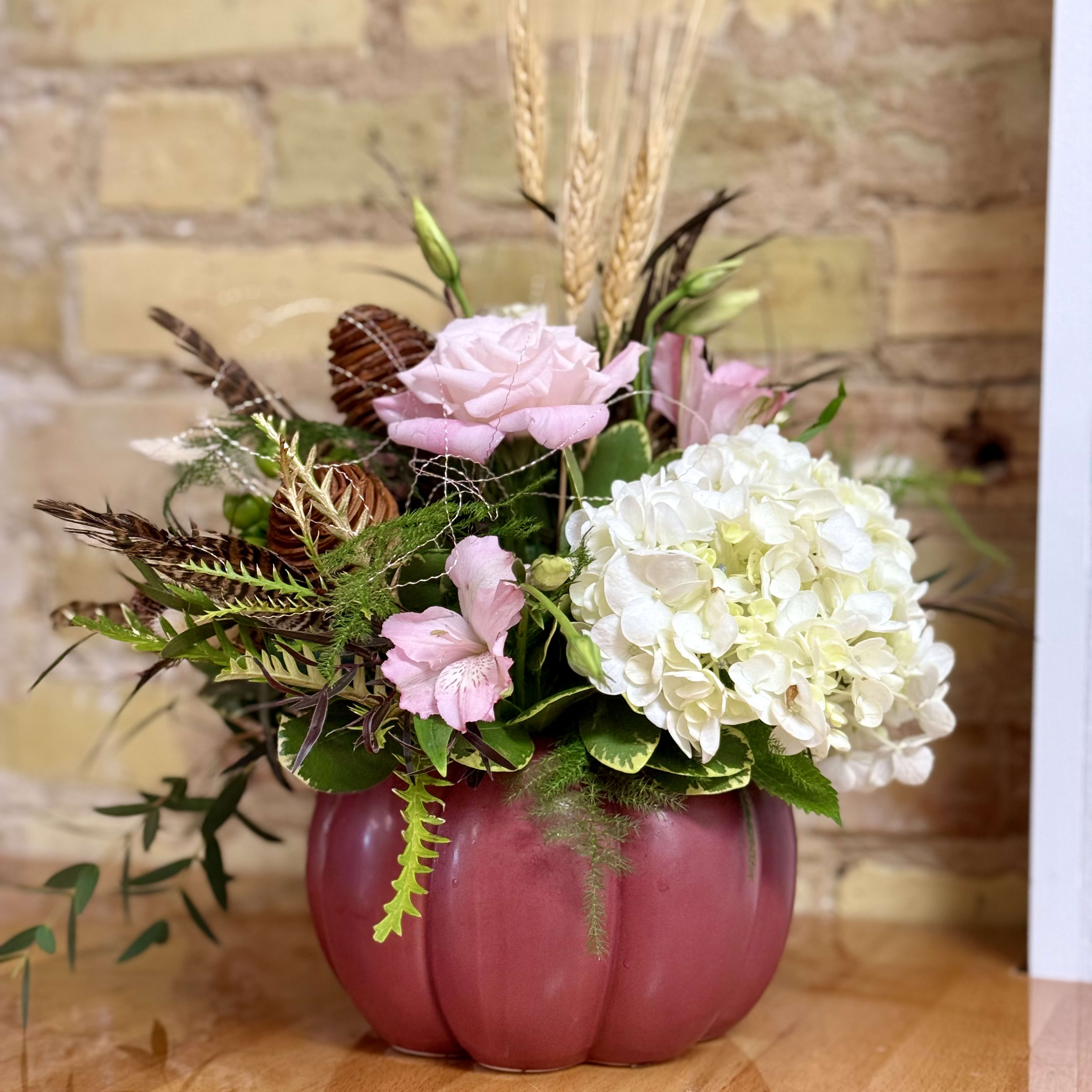 Designers Choice Plum Pumpkin