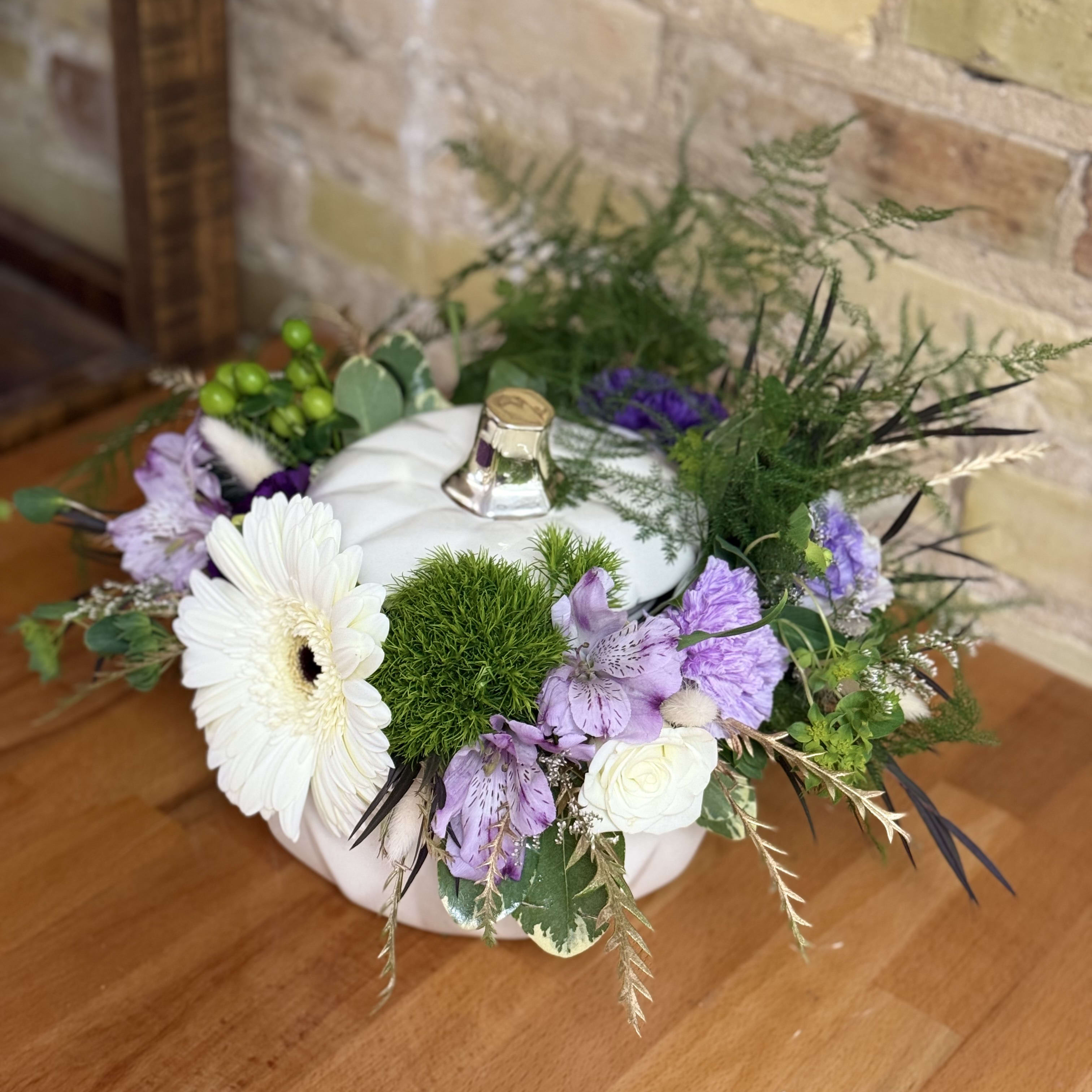 Designer Choice White Pumpkin