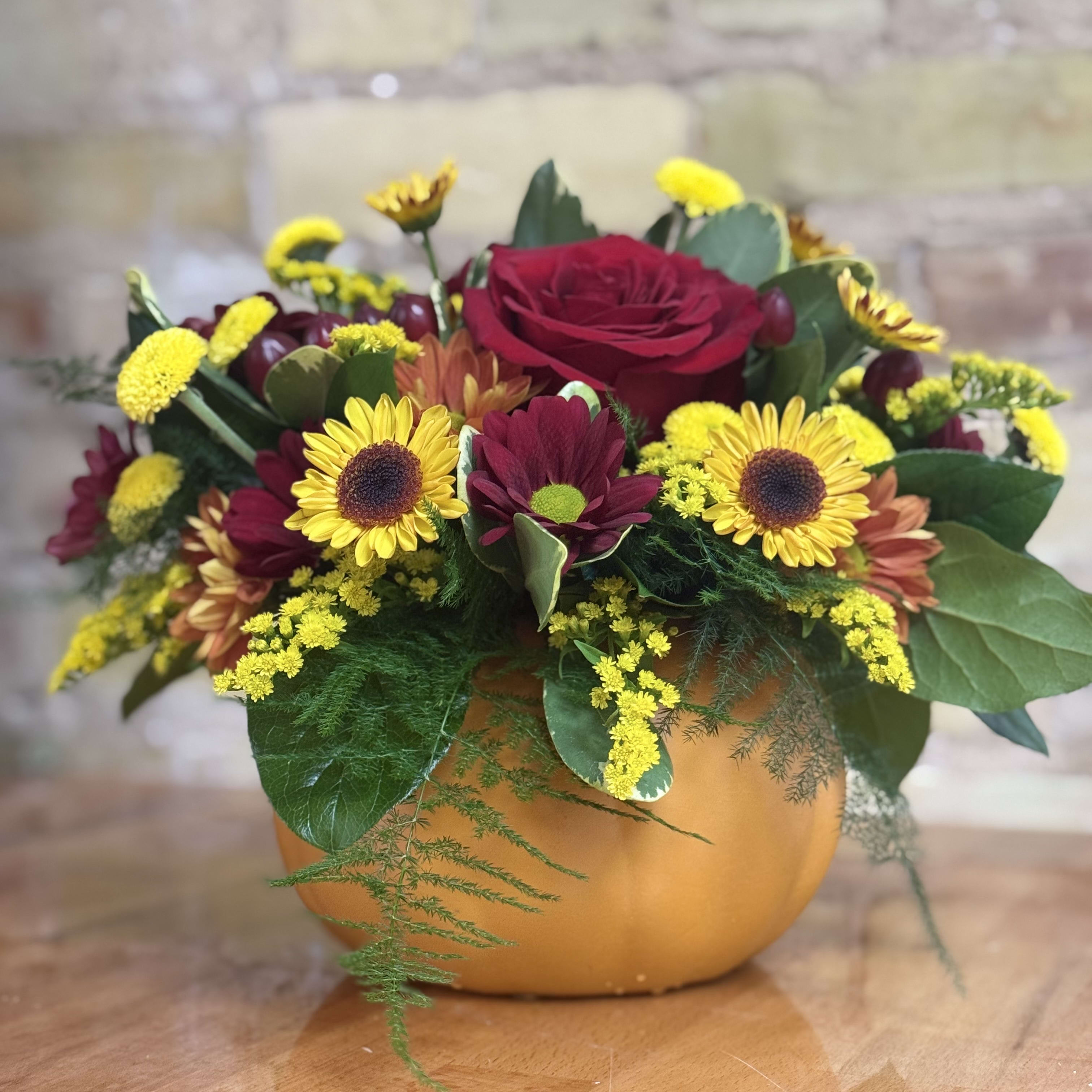 Designers Choice Orange Pumpkin