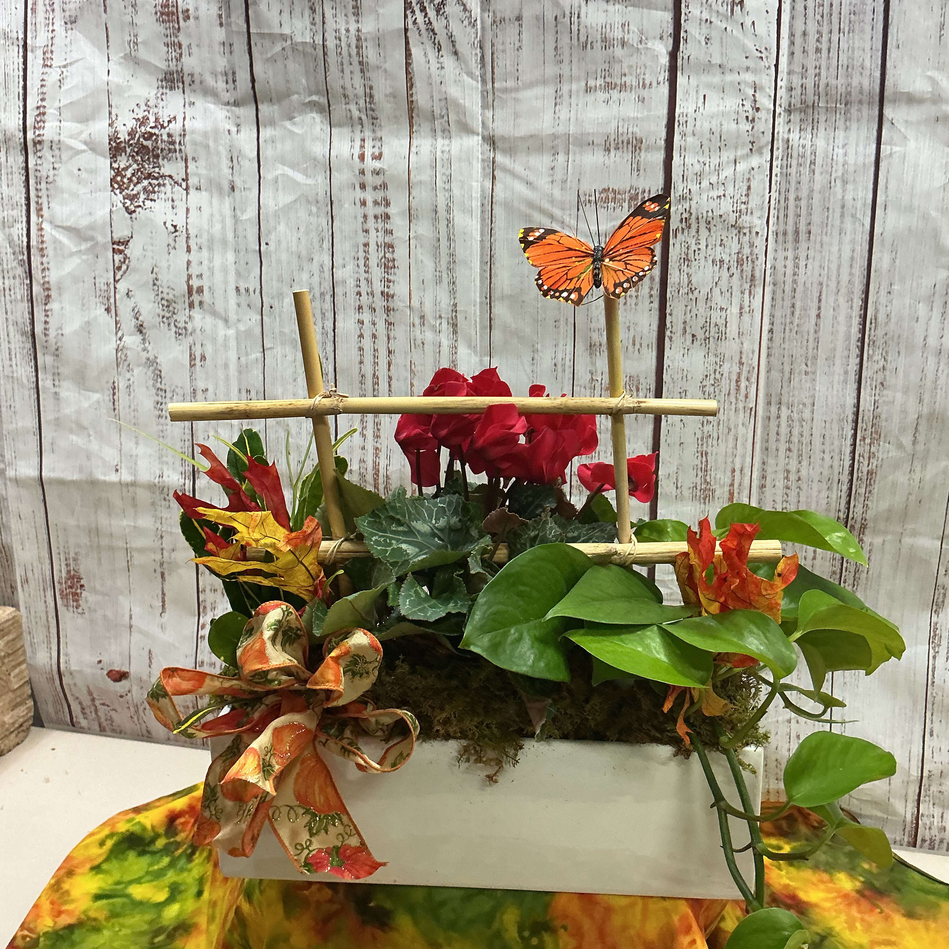 Fall Blooming garden