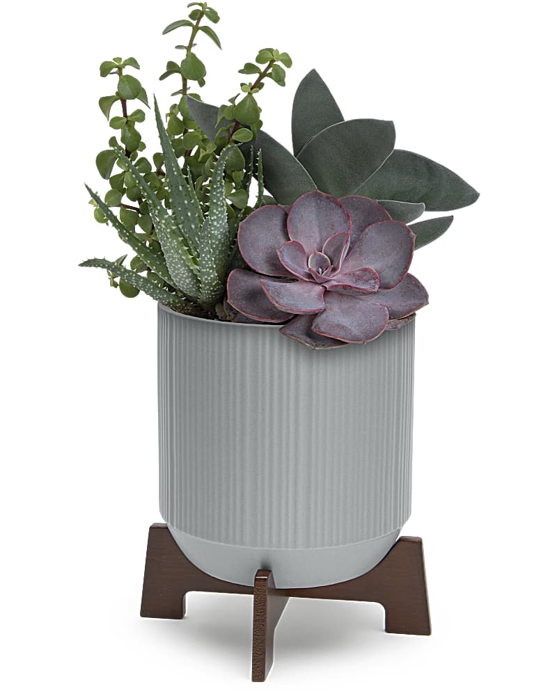 Mod Succulents Flower Bouquet