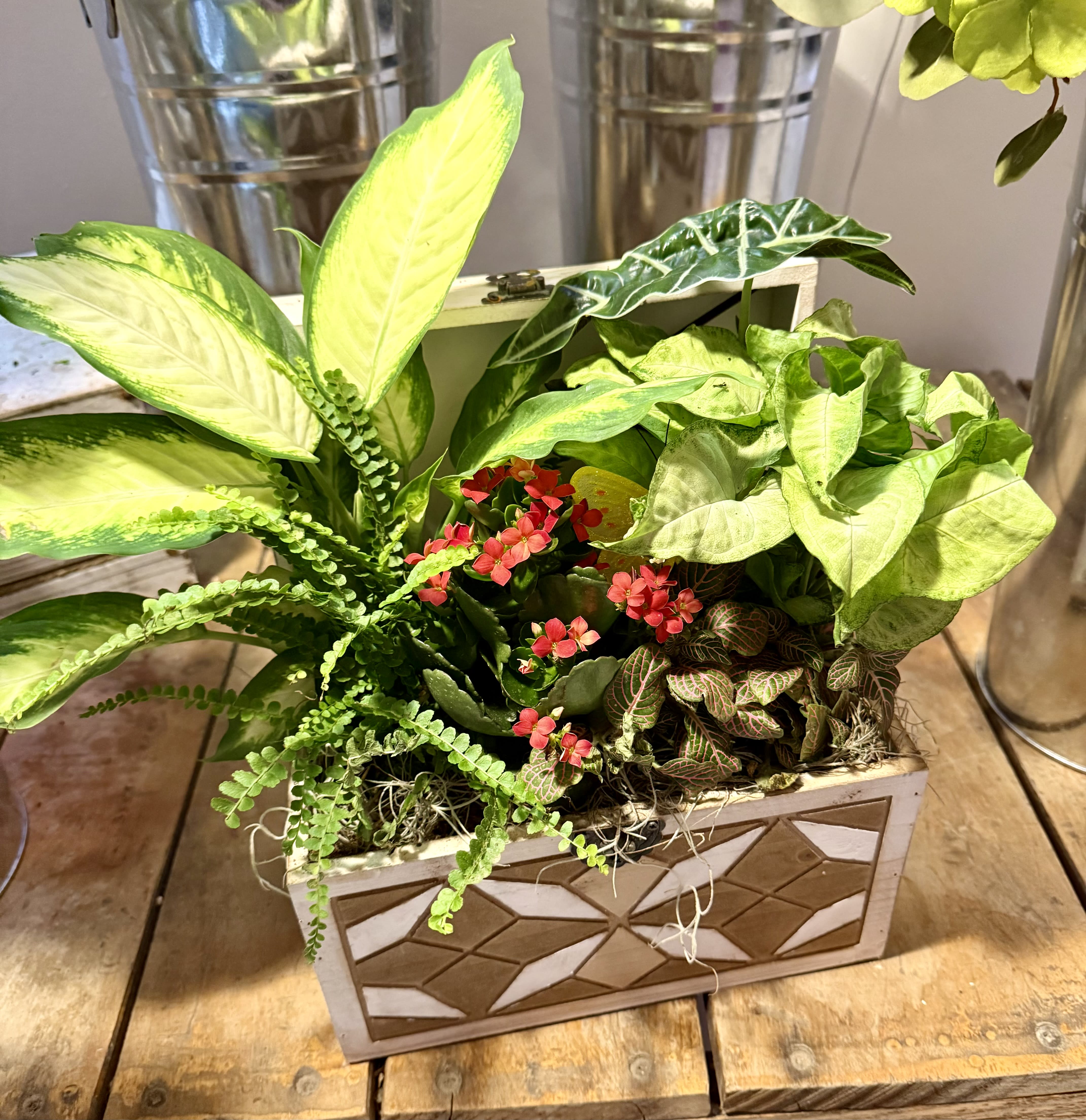 Wooden Box of Tropical Plants