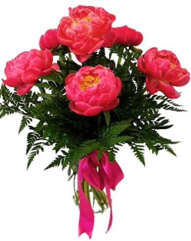 6 OR 12 Peonies in a Vase V-1413 Flower Bouquet