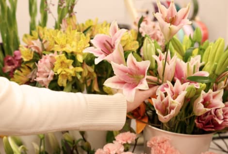 Sympathy Collections - Holmdel, NJ