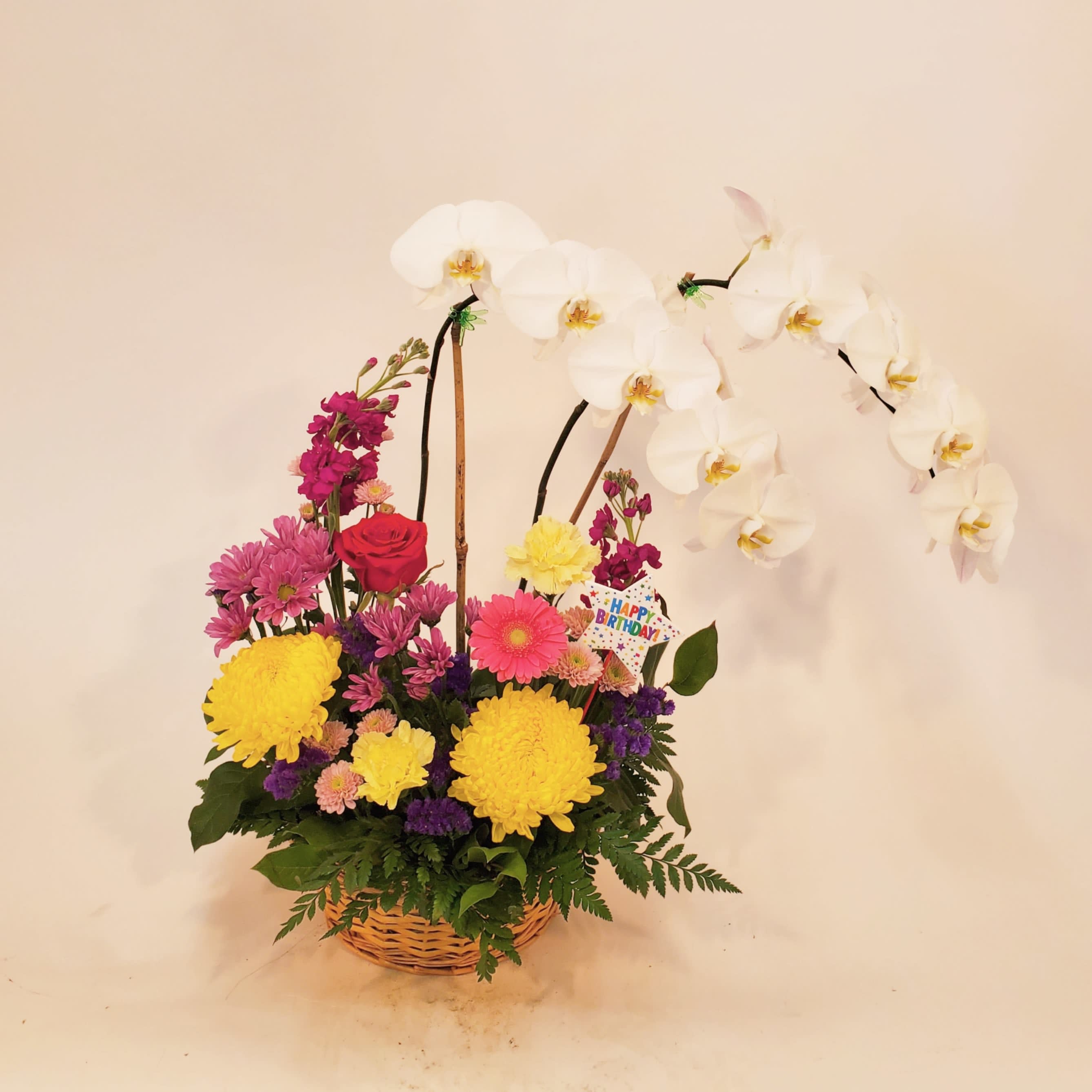 ORCHID PLANT WITH FLOWERS Flower Bouquet