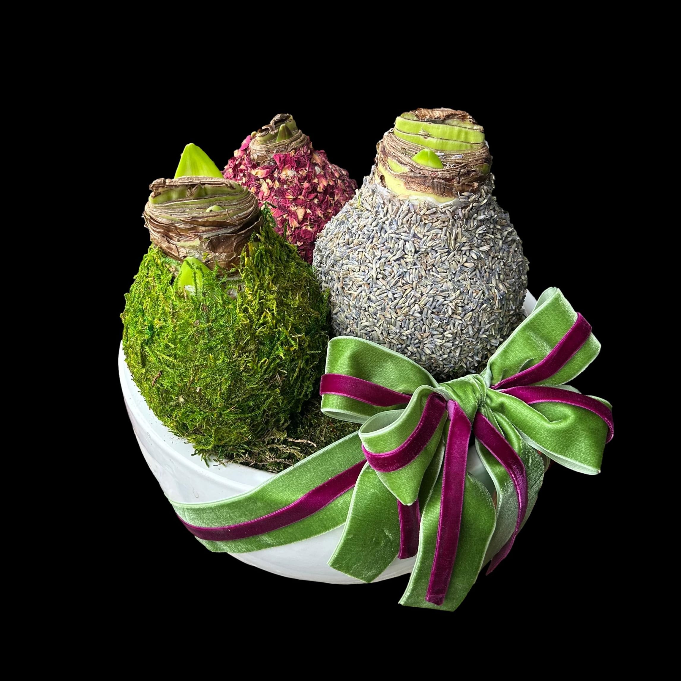 Fragrant French Countryside Amaryllis Trio Flower Bouquet