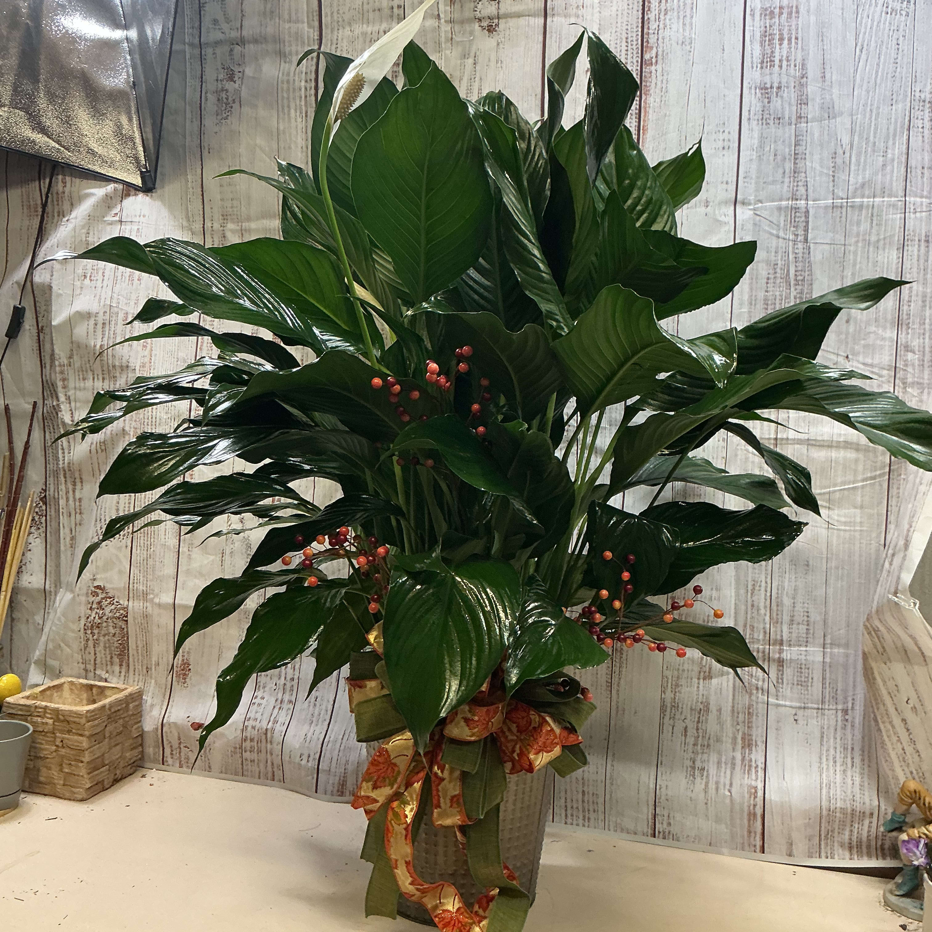 metal container  with spath