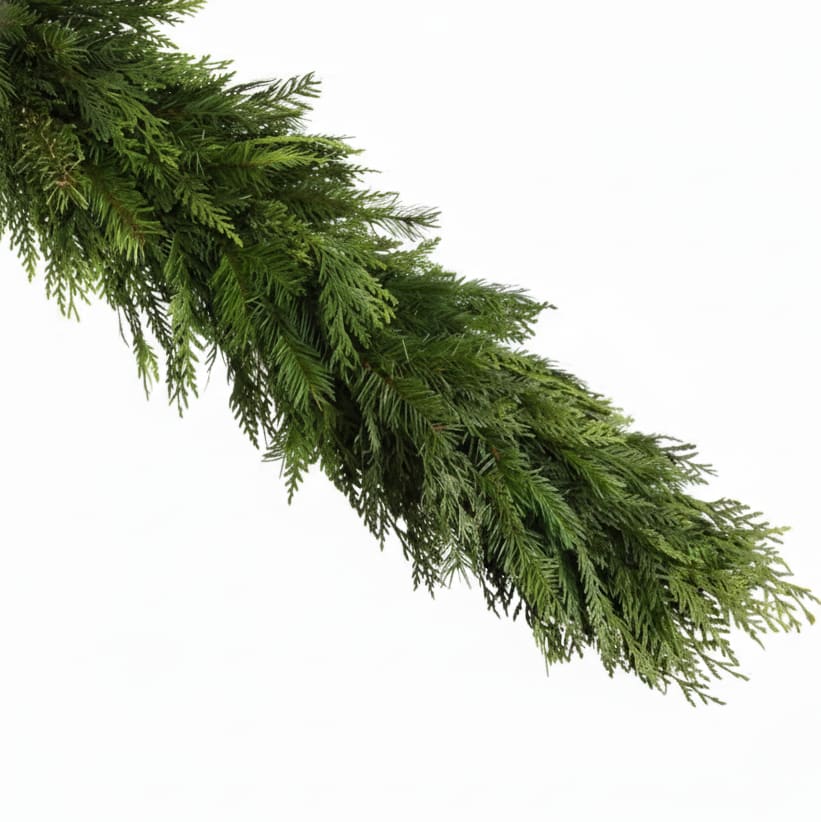 Cedar / Douglas Fir Farm Fresh Garland (6')