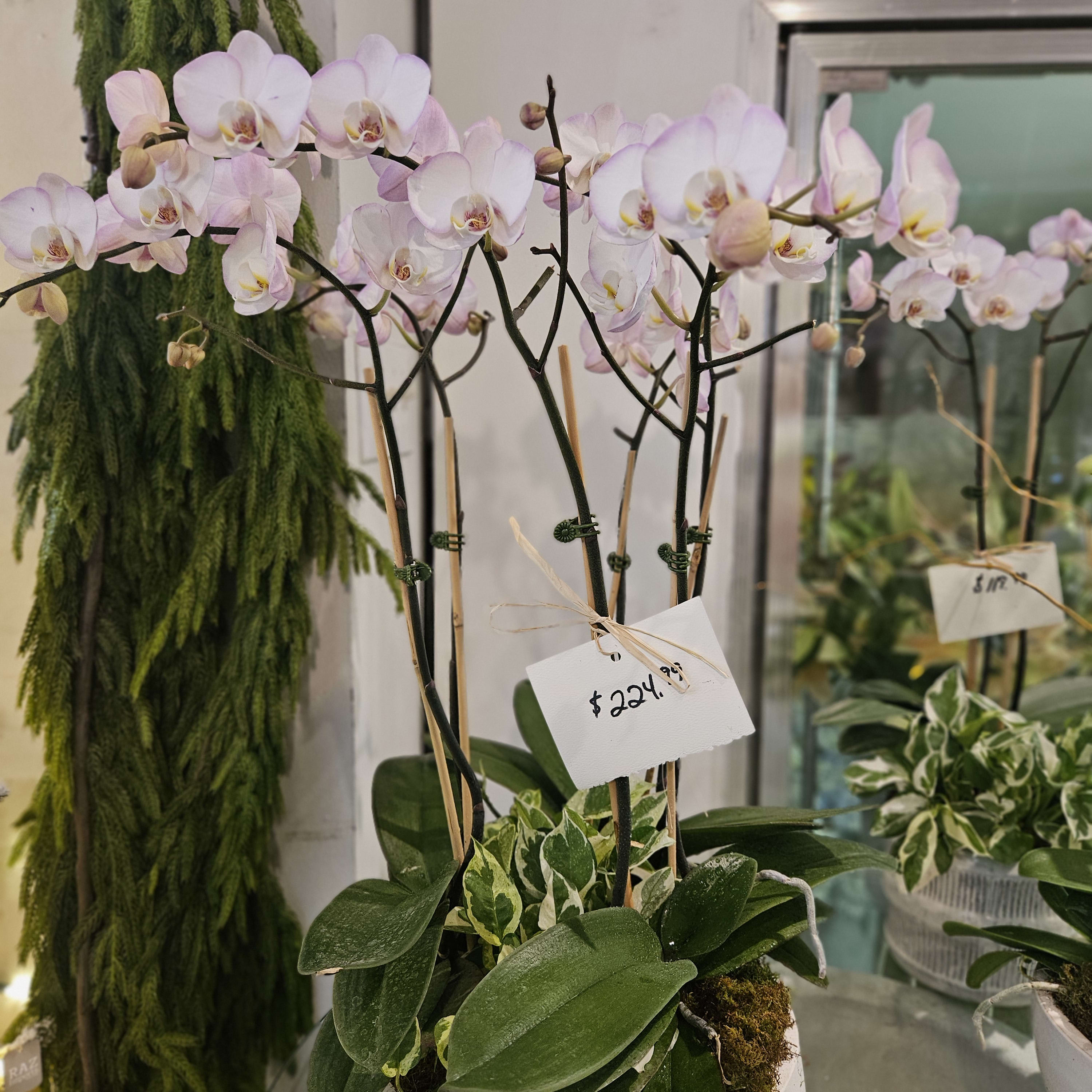 Pink Orchid Garden Flower Bouquet